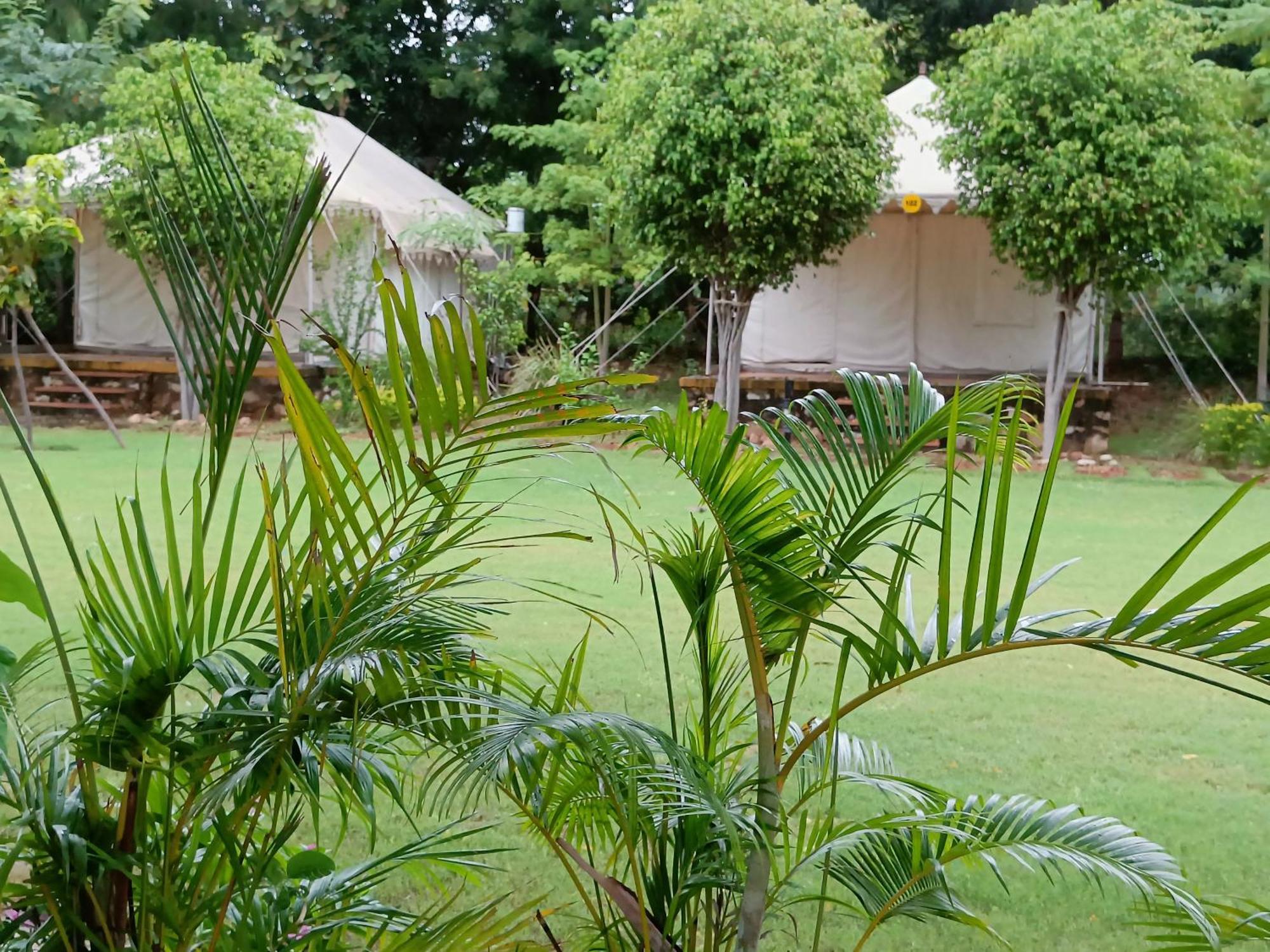 Khilchīpur Ranthambhore Bagh Dwar Camp מראה חיצוני תמונה