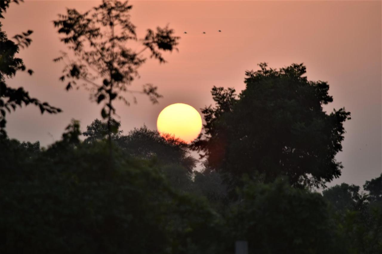 Khilchīpur Ranthambhore Bagh Dwar Camp מראה חיצוני תמונה