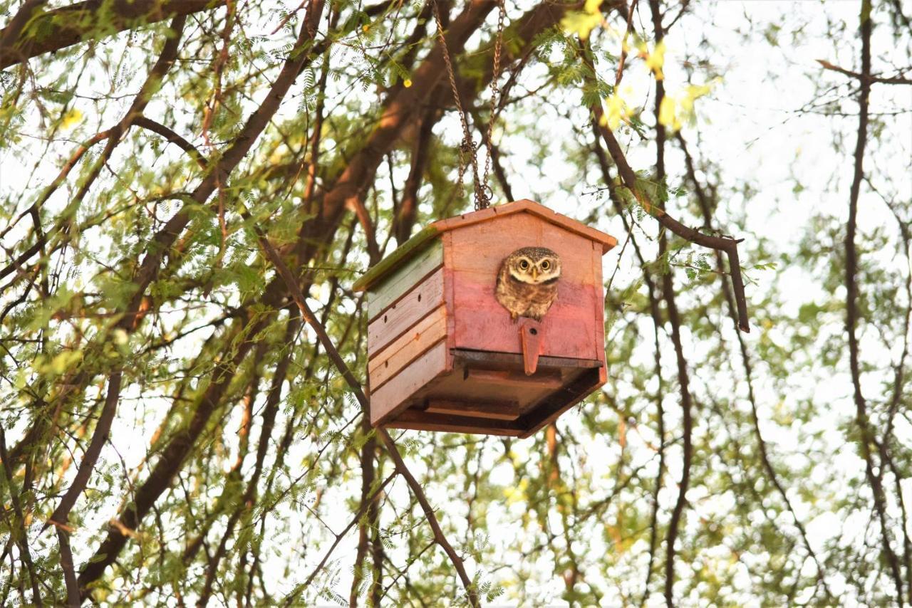 Khilchīpur Ranthambhore Bagh Dwar Camp מראה חיצוני תמונה